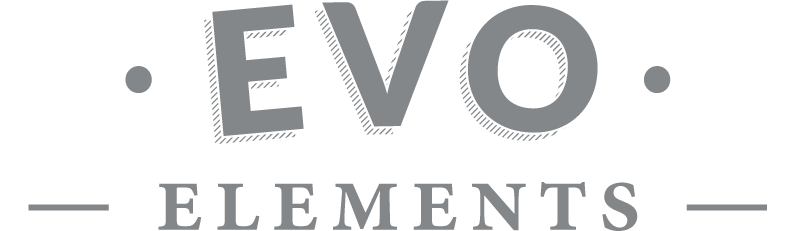 EVO Logo